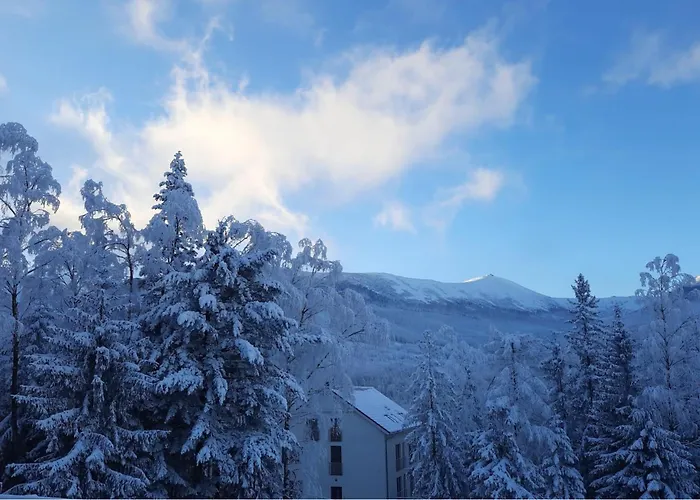 Гостевой дом Monali Карпач