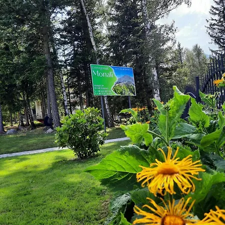 Monali Гостевой дом 3*