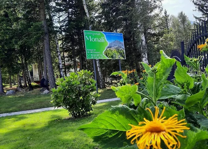 Monali بيت ضيافة 3*